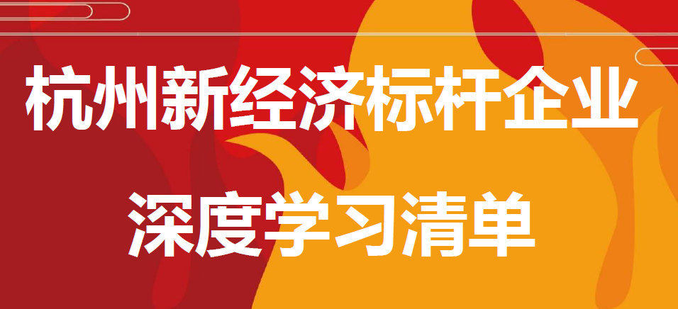 杭州新經(jīng)濟(jì)標(biāo)桿企業(yè)